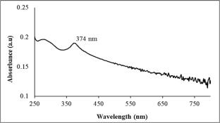 Noticing the Phytoextract Mediated Zinc Oxide Nanoparticles Synthesis, Characterization, and Antimicrobial, Antioxidant & Photocatalytic Applications