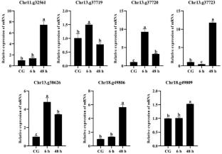 Genomic Identification and Validation of Candidate Genes Associated with Alkalinity Tolerance in Exopalaemon carinicauda