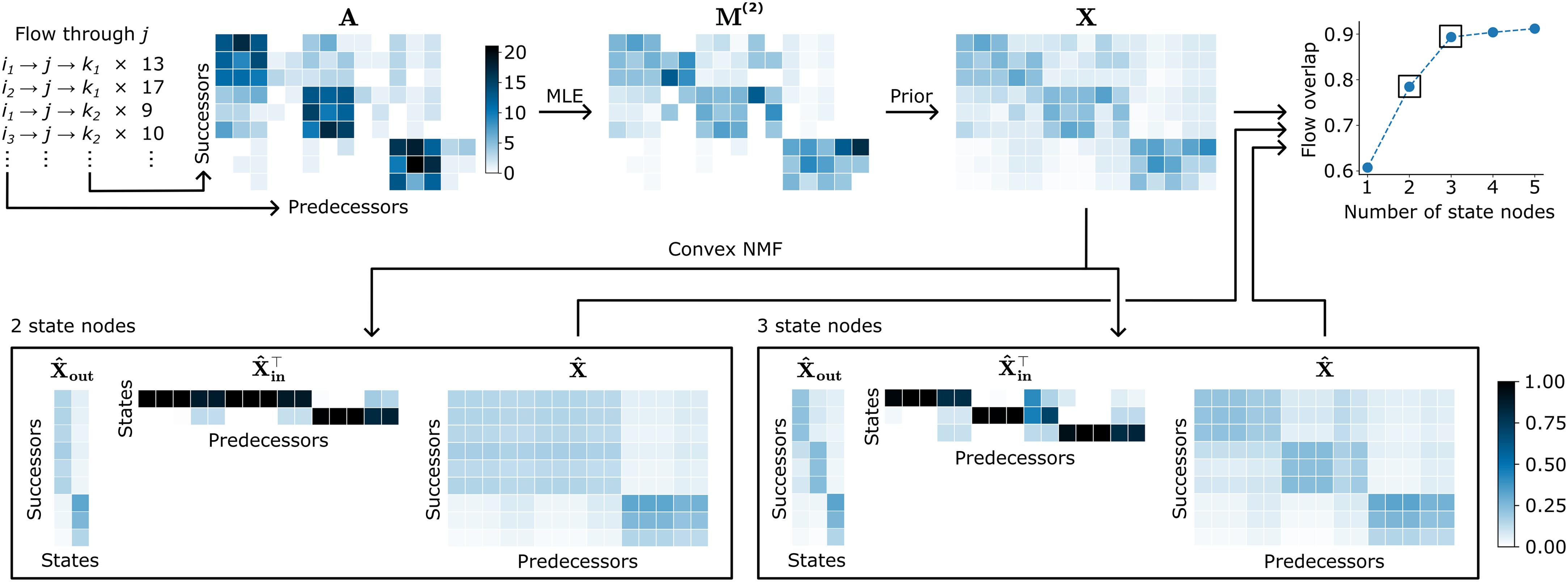 Concise network models of memory dynamics reveal explainable patterns in path data