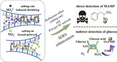 Hofmeister effect-regulated poly(vinyl alcohol) @ cellulose nanofiber hydrogel-based SERS enhancement and sensing application