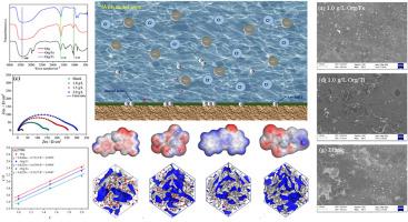 Study on the synergistic corrosion inhibition effect of metal ion modified citrus peel extract on Q235 carbon steel in hydrochloric acid