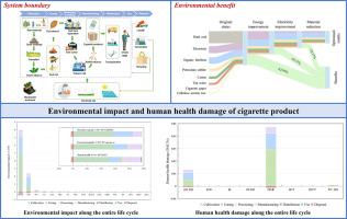 Environmental impact and human health damage of cigarette production, consumption and disposal