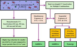 Performance evaluation of monochromatic and combined GUV wavelengths for airborne E. coli inactivation in an HVAC duct