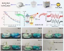 Construction of CeO2/Bi2O3 heterojunction photocatalyst for the efficient degradation of organic dyes