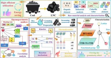 Kinetic and thermodynamic analyses of multigranular low-rank coal: Synergistic effect of particle size on reactivity and coke properties