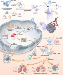 Melanoma MHC-I-membrane-encapsulated Cu@ferrihydrite induces ferroptosis/cuproptosis and systematic immunity against tumor