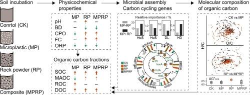 Rock powder amendment mitigates microplastic induced destabilization of soil organic carbon by modulating molecular composition and microbial assembly
