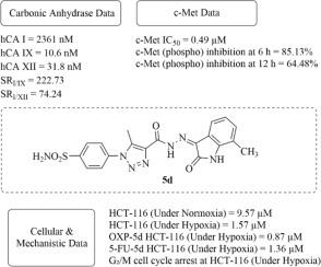 Identification of isatin-triazole-benzenesulfonamide hybrids as dual hCA IX/XII and c-met inhibitors with hypoxia-mediated chemo-sensitizing activity