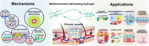 Multifunctional self-healing hydrogels for chronic wound repair: Design, mechanisms, and applications