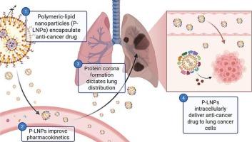 Polymeric-lipid nanoparticles that leverage cationic helper lipids and the protein corona for lung-targeted delivery of a novel anti-cancer drug