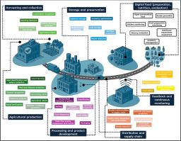 Exploring the potential of digital twins in the food industry and their role in developing food formulations