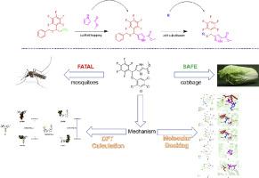 Design, synthesis, and insecticidal activities of novel thioether derivatives