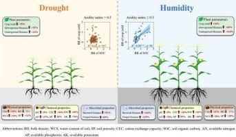 Positive effects of amendments on crop yield and organic carbon in sandy soils are regulated by aridity: A global meta-analysis