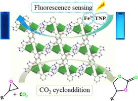 Structural study of a bistriazole-based Cd(II) coordination polymer and its application in highly effective detection of TNP and Fe3+ in water and in catalytic CO2 cycloaddition
