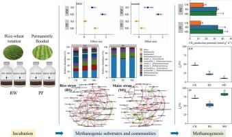 Straw-mediated CH4 production via distinct methanogenic pathways in two paddy soils