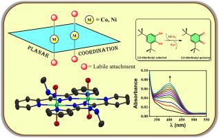 Exploration of dinuclear systems towards catechol oxidase activity with a novel unsymmetric triazole based bis-bidentate ligand