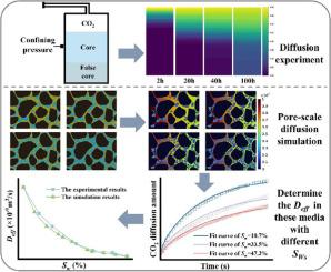 Experimental and pore-scale simulation study on CO2 diffusion in porous media saturated by brine and oil