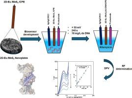 A highly efficient DNA biosensor based on 2D-europium/MoS₂ nanocomposites for rifampicin detection