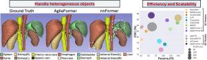 AgileFormer: Spatially agile and scalable transformer for medical image segmentation