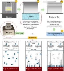 Field-effect separation of rare earth elements in gelatin-supported media