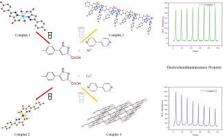Using bridging ligands to regulate pyrazole carboxylic acid coordination polymers: Investigating crystal structure and electrochemiluminescence properties
