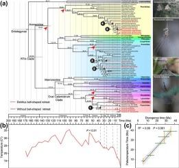 Spider nest-retreat origin, diversification, and architectural plasticity link to historical and current temperature fluctuations