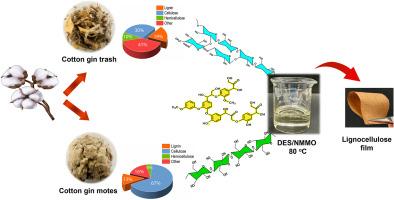 Upcycling cotton gin byproducts into bioplastics: A sustainable approach to Co-dissolution of lignin and cellulose using a DES/NMMO binary solvent