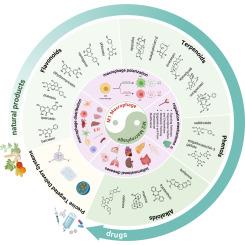 Natural products inhibit inflammatory diseases by regulating macrophage polarization