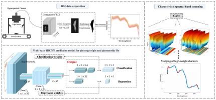 Simultaneous prediction of Panax ginseng origin and ginsenoside Re content using hyperspectral imaging and a multi-task one-dimensional convolutional neural network