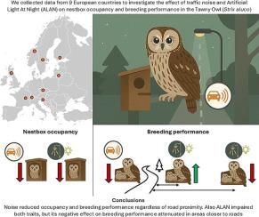 Sensory pollutants have negative but different effects on nestbox occupancy and breeding performance of a nocturnal raptor across Europe