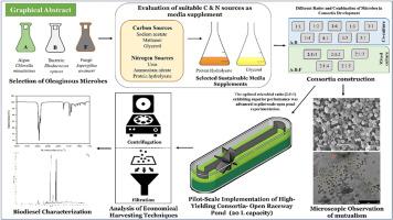 Tailoring mixed microbial consortia for sustainable biodiesel: An attempt towards synergistic biomass production and cost-effective harvesting in pilot scale open cultivation