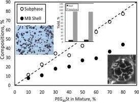 Lipid monolayer composition and production efficiency in DSPC/PEG40St microbubbles for ultrasound applications