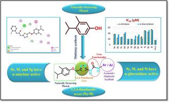 1,3,4-thiadiazole derivatives as antidiabetic agents: Design, synthesis, biological evaluation, and in silico studies