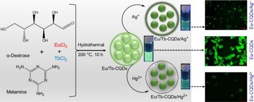 Facile synthesis of dual rare earth metal-doped carbon quantum dots as photoluminescent sensors for Ag+ and Hg2+ detection with intracellular bioimaging applications