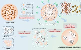 Near-zero carbon iron powder from high‑phosphorus oolitic pellets via hydrogen reduction-electromagnetic iron phase reconstruction - magnetic separation