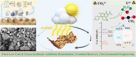 One-pot synthesis of ZnO/g-C3N4 with enhanced photocatalytic activity for levofloxacin degradation and uranium extraction