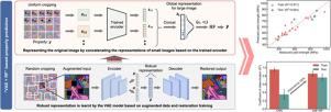 Mapping microstructure to mechanical property by disentangling strengthening mechanism with deep learning