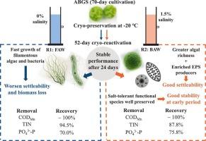 Feasibility and performance of frozen algal-bacterial granular sludge for rapid startup of brackish aquaculture wastewater treatment system