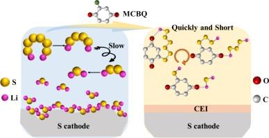 Shortening sulfur redox pathway via coupled LiO and CS bonds in LiS batteries