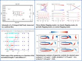 Flow control of D-shaped bluff bodies using attached dual membranes