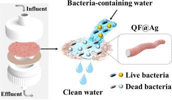 Silver mirror-inspired conform immobilization of nano-Ag onto quartz fibers for point-of-use water disinfection