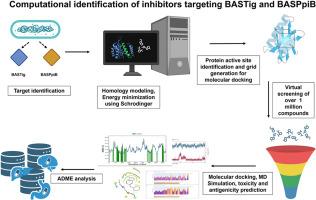 Structure-based identification of small molecule inhibitors targeting trigger factor and peptidyl prolyl cis/trans isomerase B (PpiB) of Bacillus anthracis Sterne: Towards new therapeutic interventions against anthrax