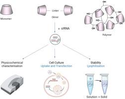 The impact of cyclodextrin architecture and charge for optimized nucleic acid delivery: A comparison of monomers, dimers, and polymers
