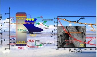 Anchoring WO3 nanorods on Nb2C MXene for degrading flotation agent effectively