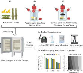 Production and characterization of biochar derived from raw and anaerobically digested banana waste