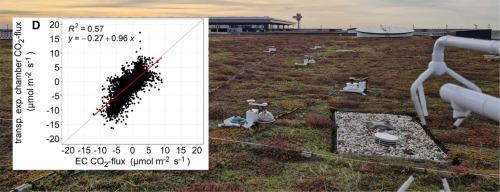 Carbon and water exchange in extensive green roofs: A comparison between eddy covariance and soil flux chamber observations