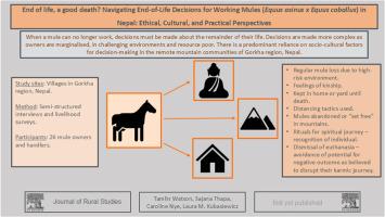 End of life, a good death? Navigating end-of-life decisions for working mules (Equus asinus × Equus caballus) in Nepal: Ethical, cultural, and practical perspectives