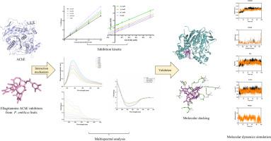 Study of the interaction mechanisms of ellagitannins from Phyllanthus emblica L. with acetylcholinesterase using multi-spectroscopy, molecular docking, and molecular dynamic