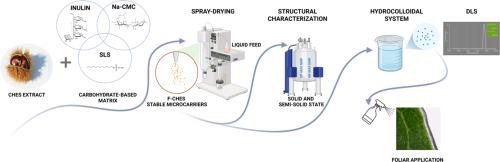 Spray dried inulin–sodium carboxymethylcellulose microcarriers with solid-to-colloidal transition: Development for foliar delivery of polyphenol-rich extract