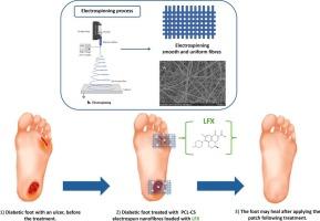 Optimisation of Levofloxacin-loaded electrospun fibres for diabetic wound treatment
